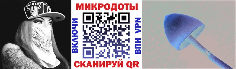 Купить  Майский  Псилоцибиновые грибы MAGIC MUSHROOMS 